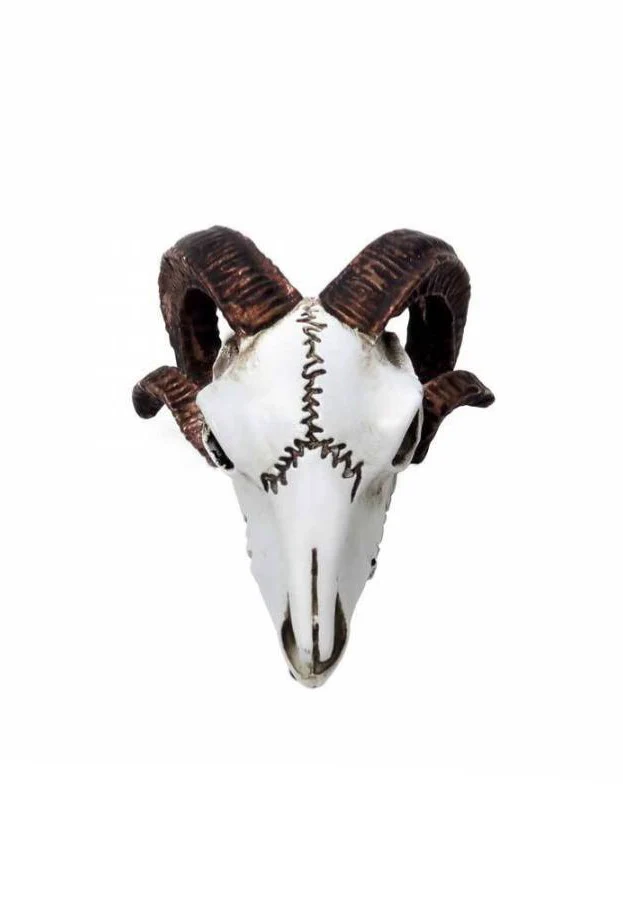 Alchemy England - Rams Skull Miniature - Statue - Image 2