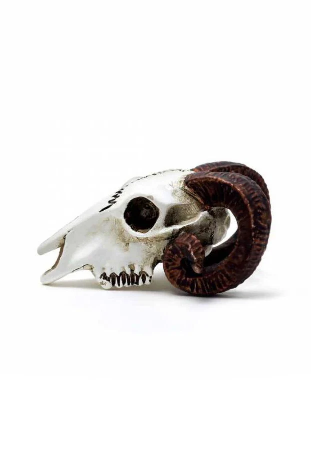 Alchemy England - Rams Skull Miniature - Statue - Image 3