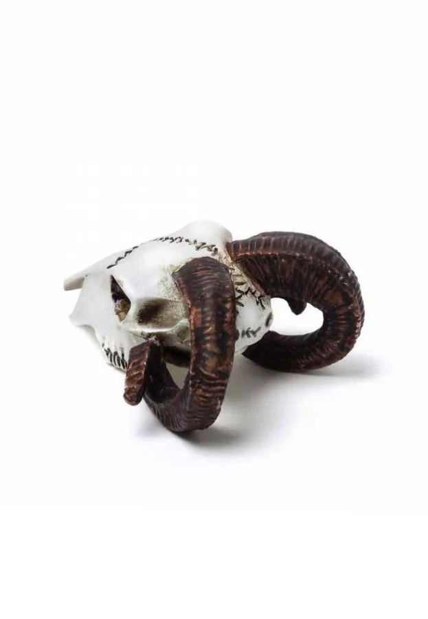 Alchemy England - Rams Skull Miniature - Statue - Image 4