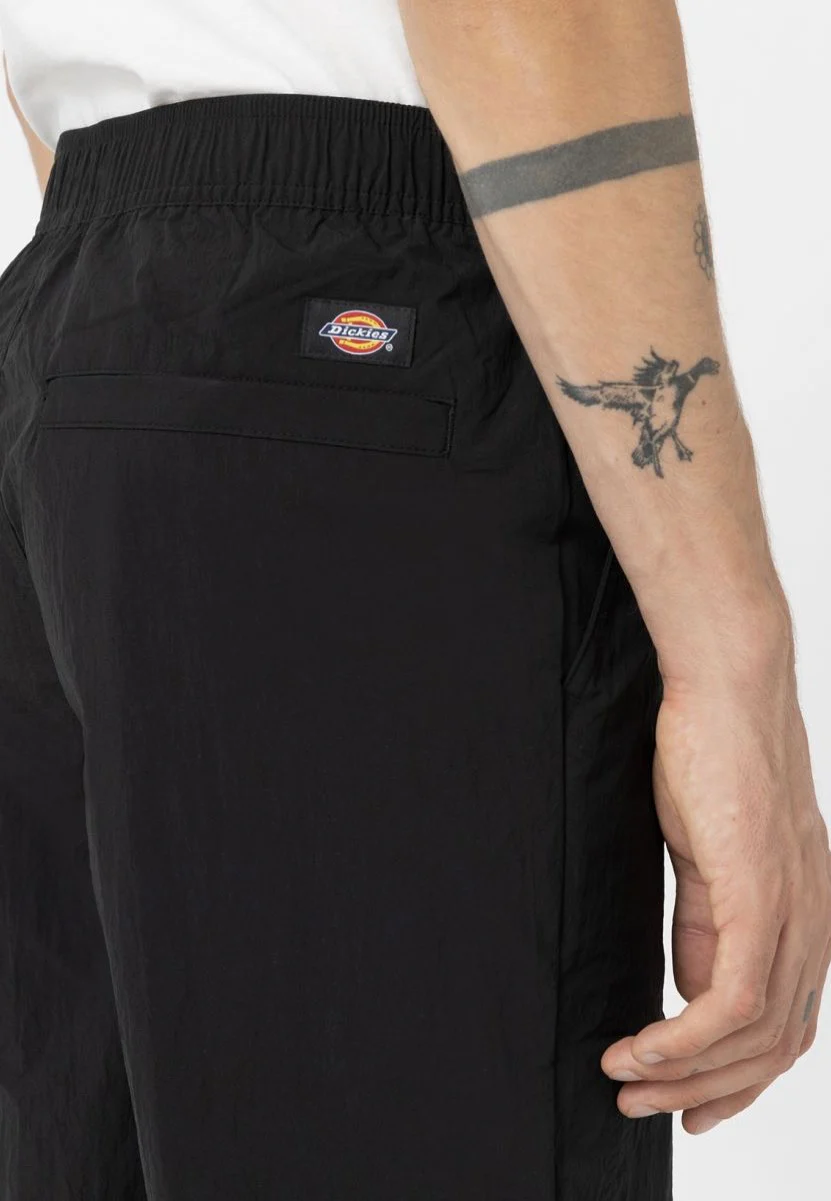 Dickies - Jackson Cargo Black - Pants - Image 7