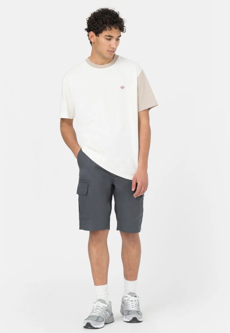 Dickies - Millerville Charcoal Grey - Shorts - Image 5