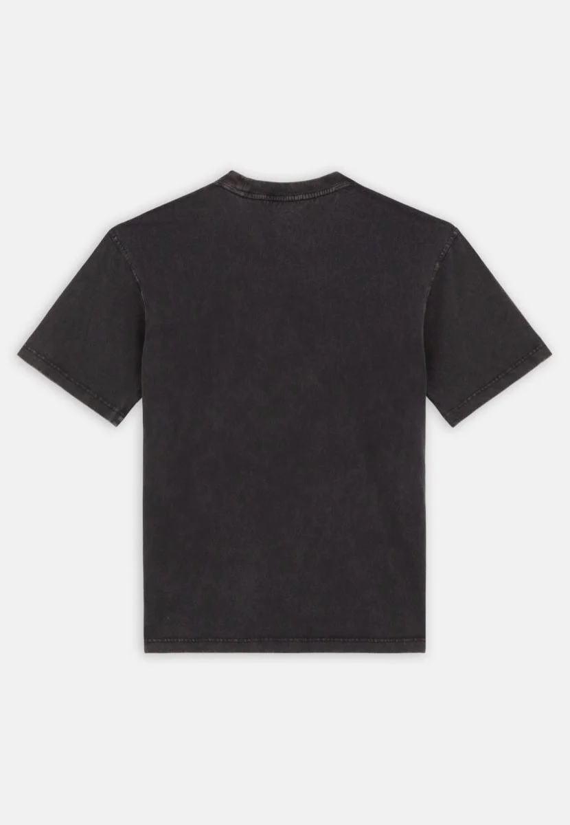 Dickies - Plentywood Dble Dye/Acd Black - T-Shirt - Image 7