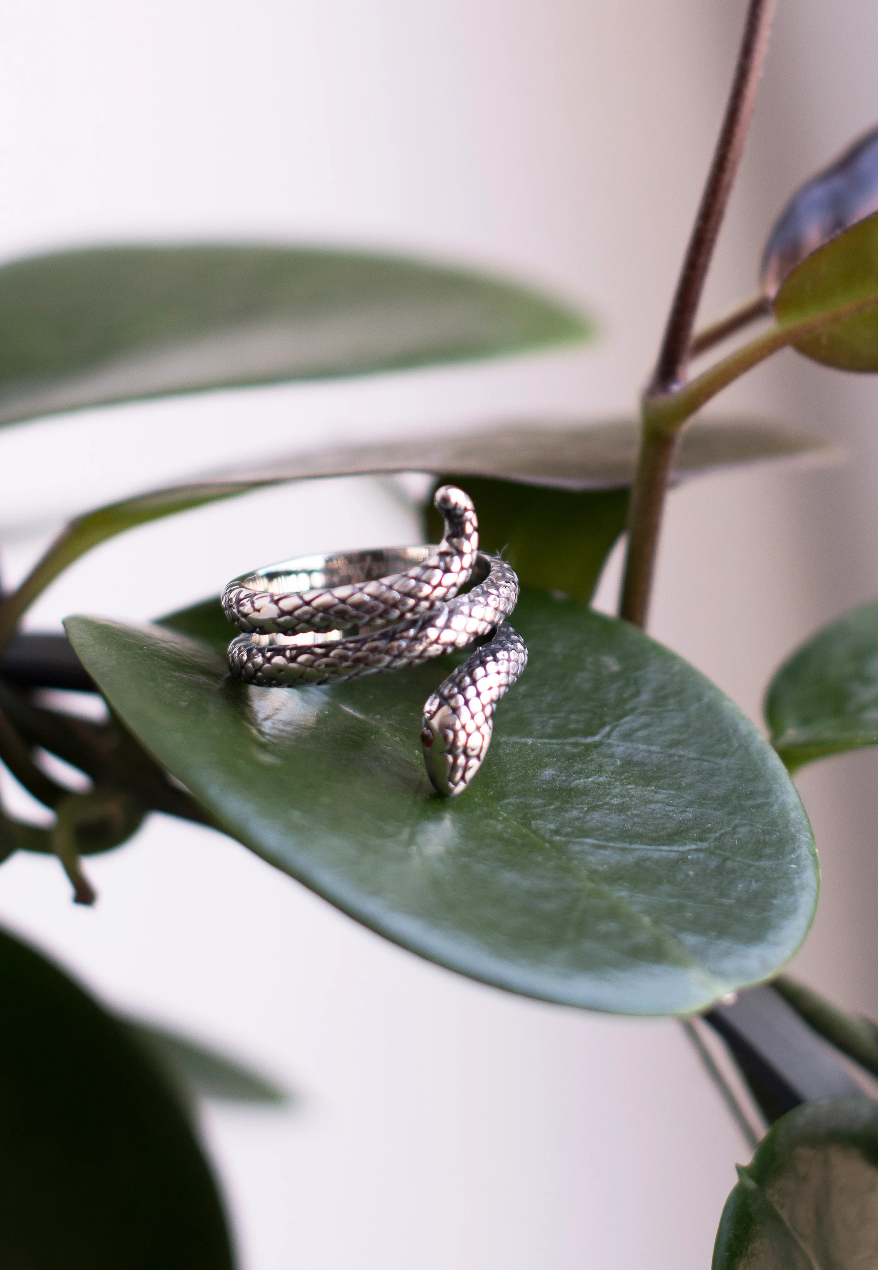 etNox - Große Schlange Silver - Ring - Image 2