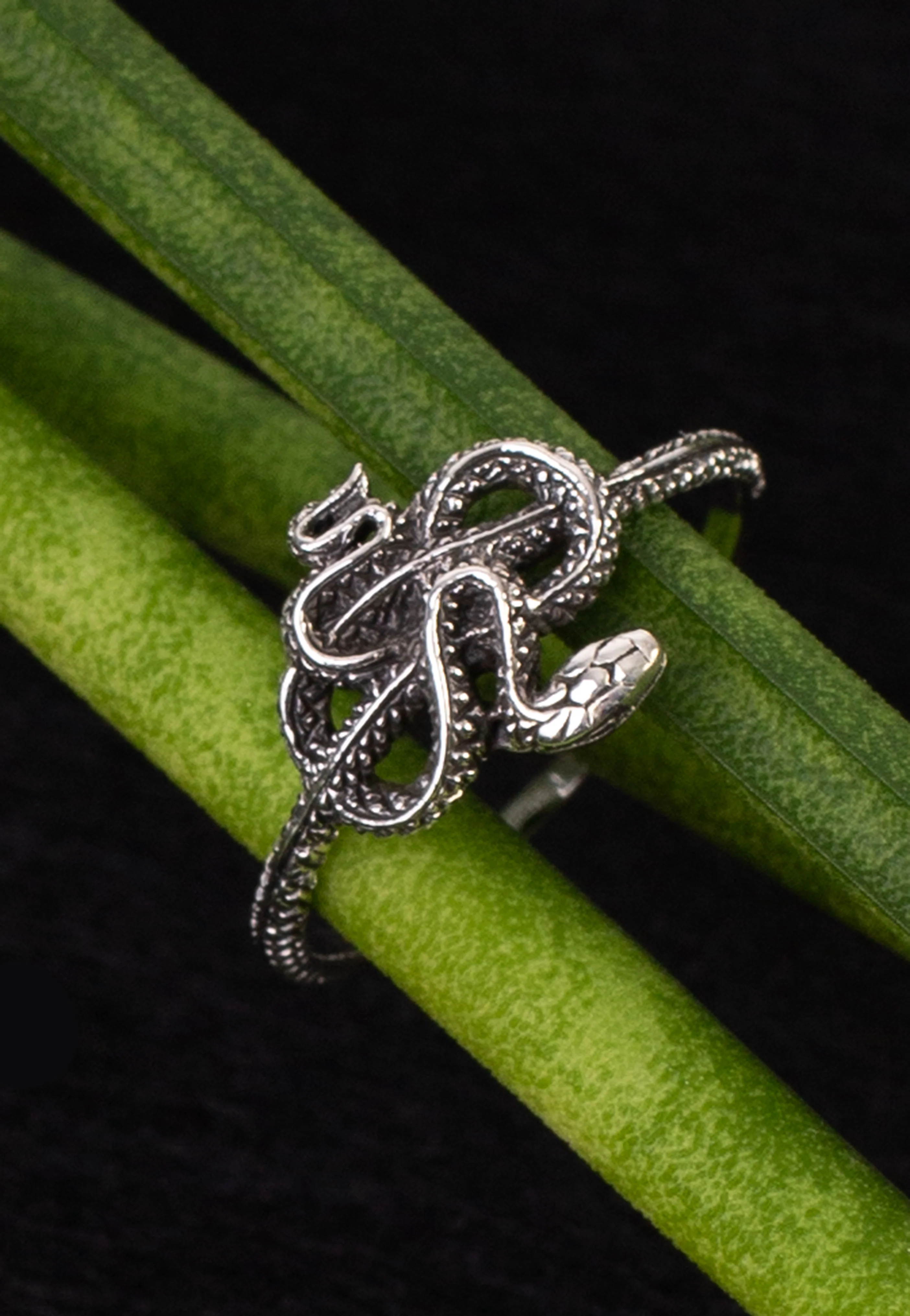 etNox - Kleine Schlange - Ring