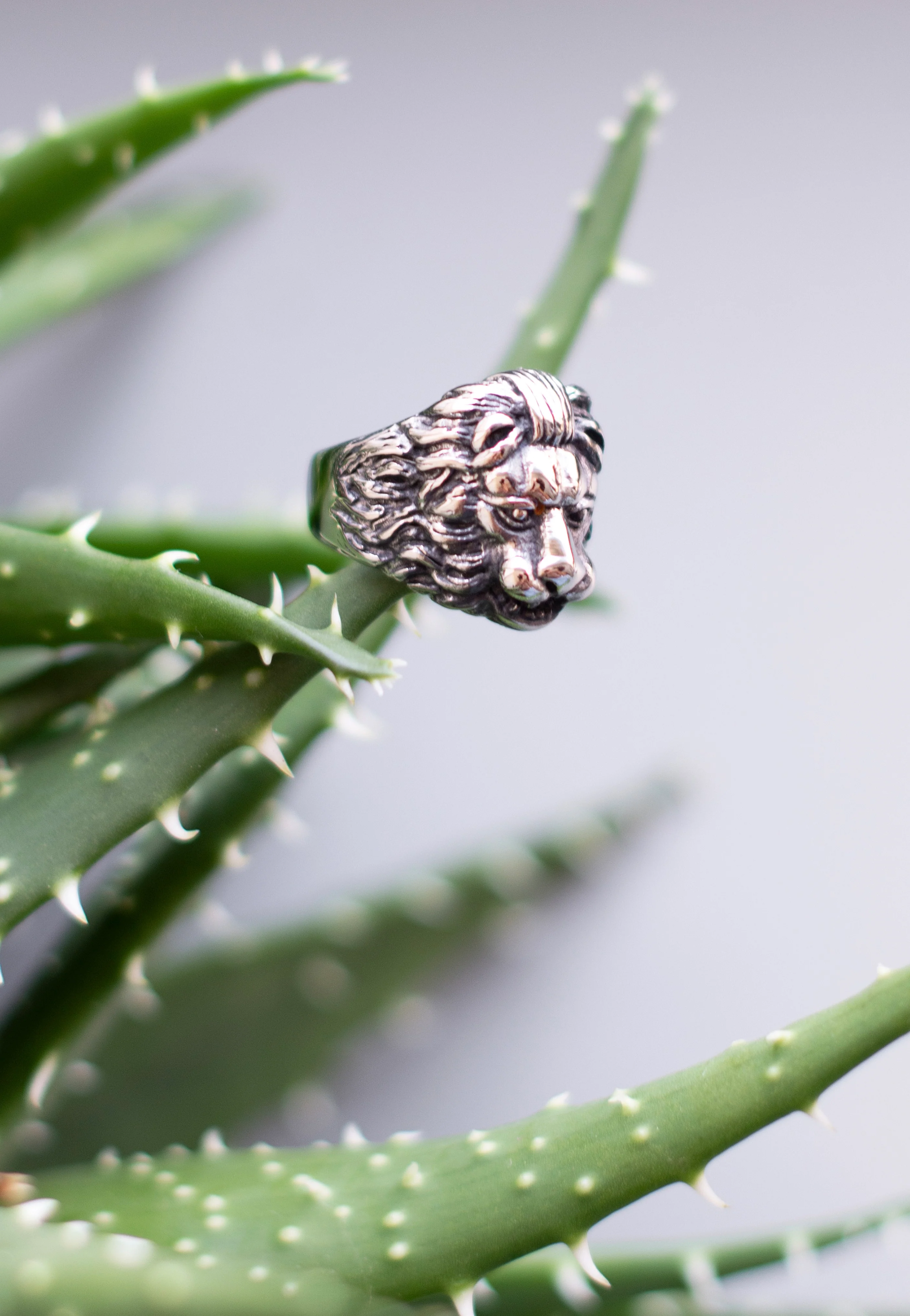etNox - Löwenkopf Silver - Ring - Image 2