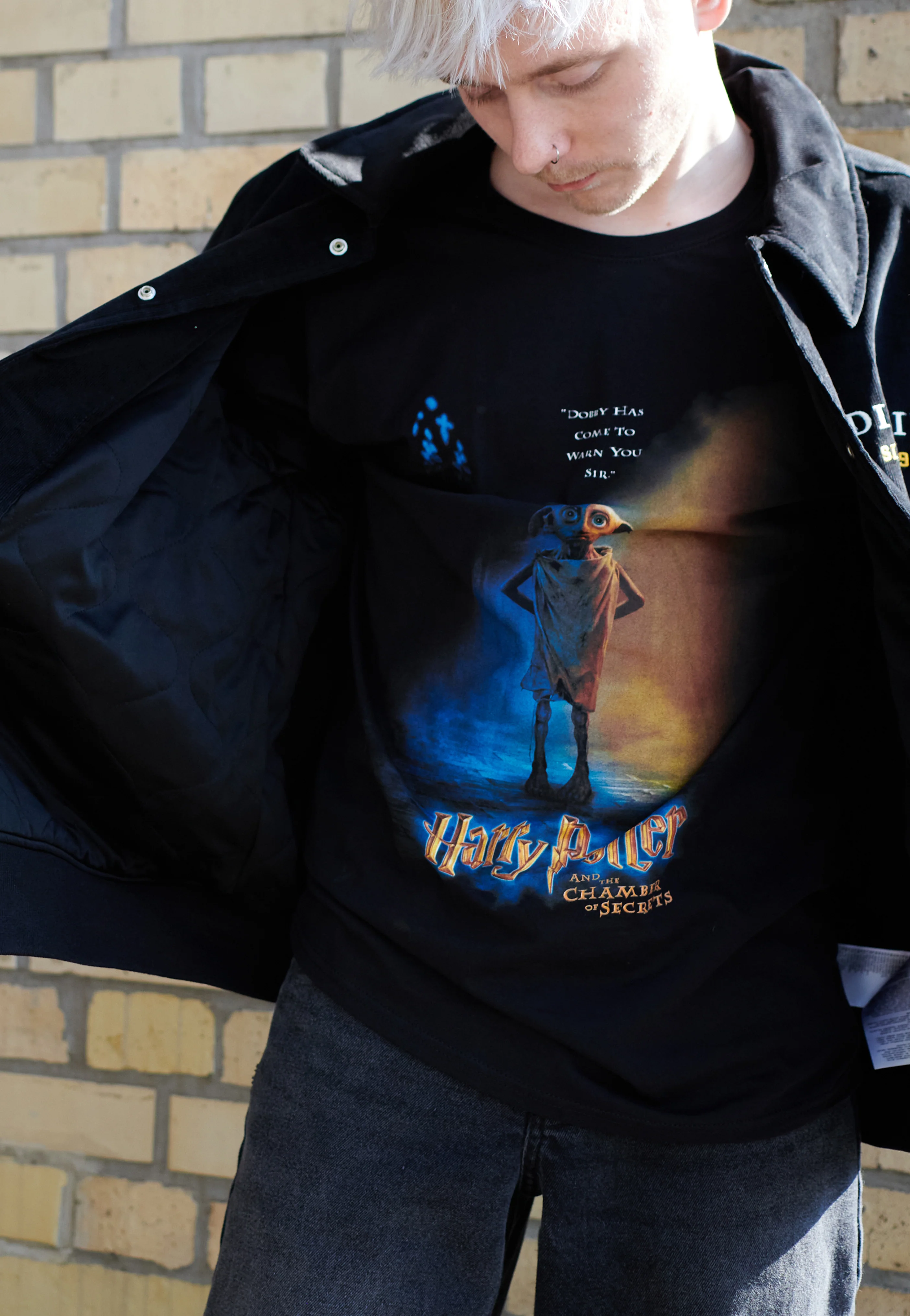 Harry Potter - Dobby Poster - T-Shirt