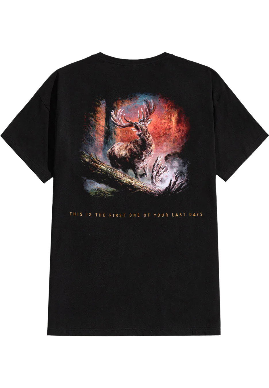 Heaven Shall Burn - Heimat Logo - T-Shirt - Image 4