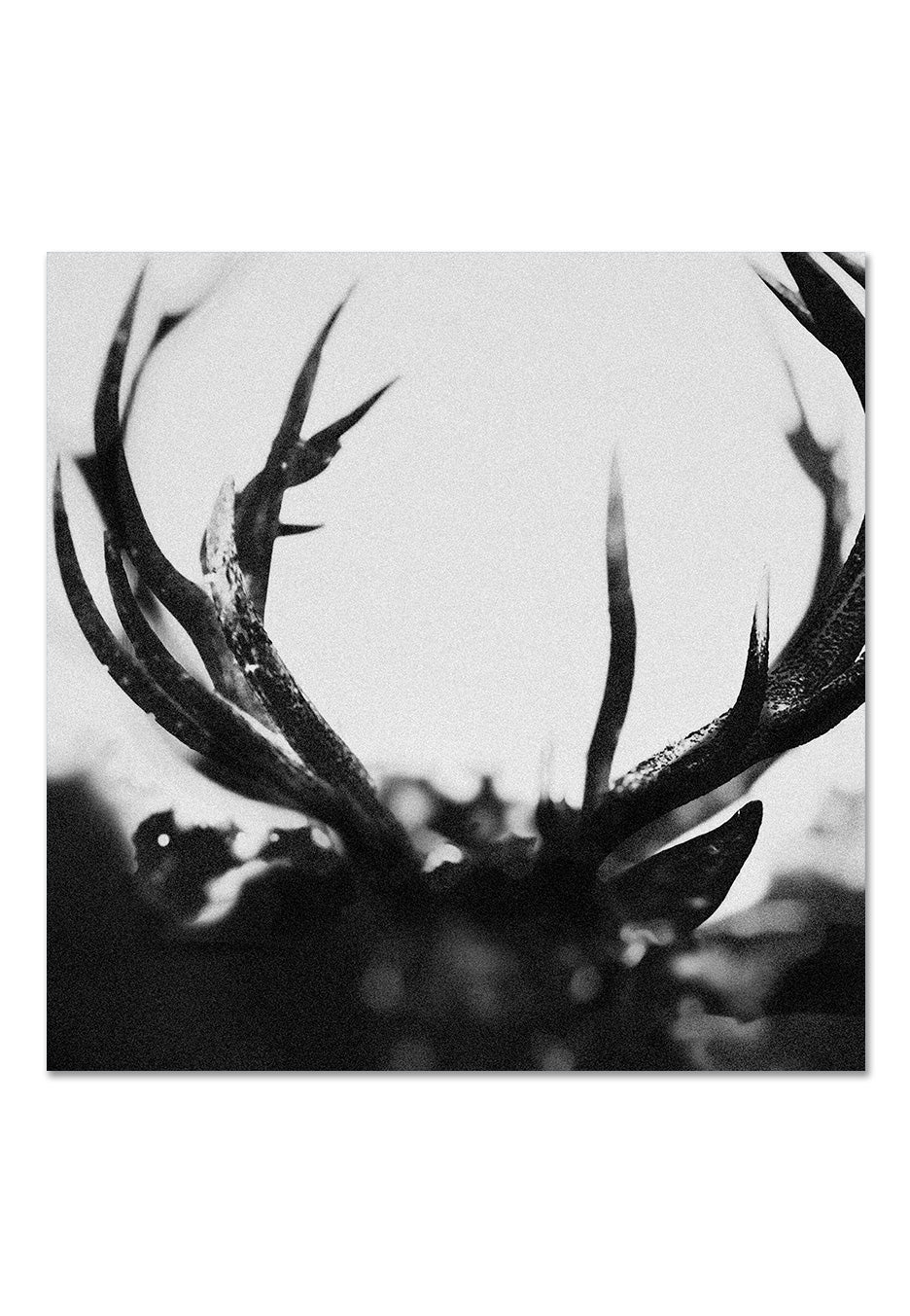 Ihsahn - Ihsahn (Orchestral Version) - Mediabook CD - Image 2