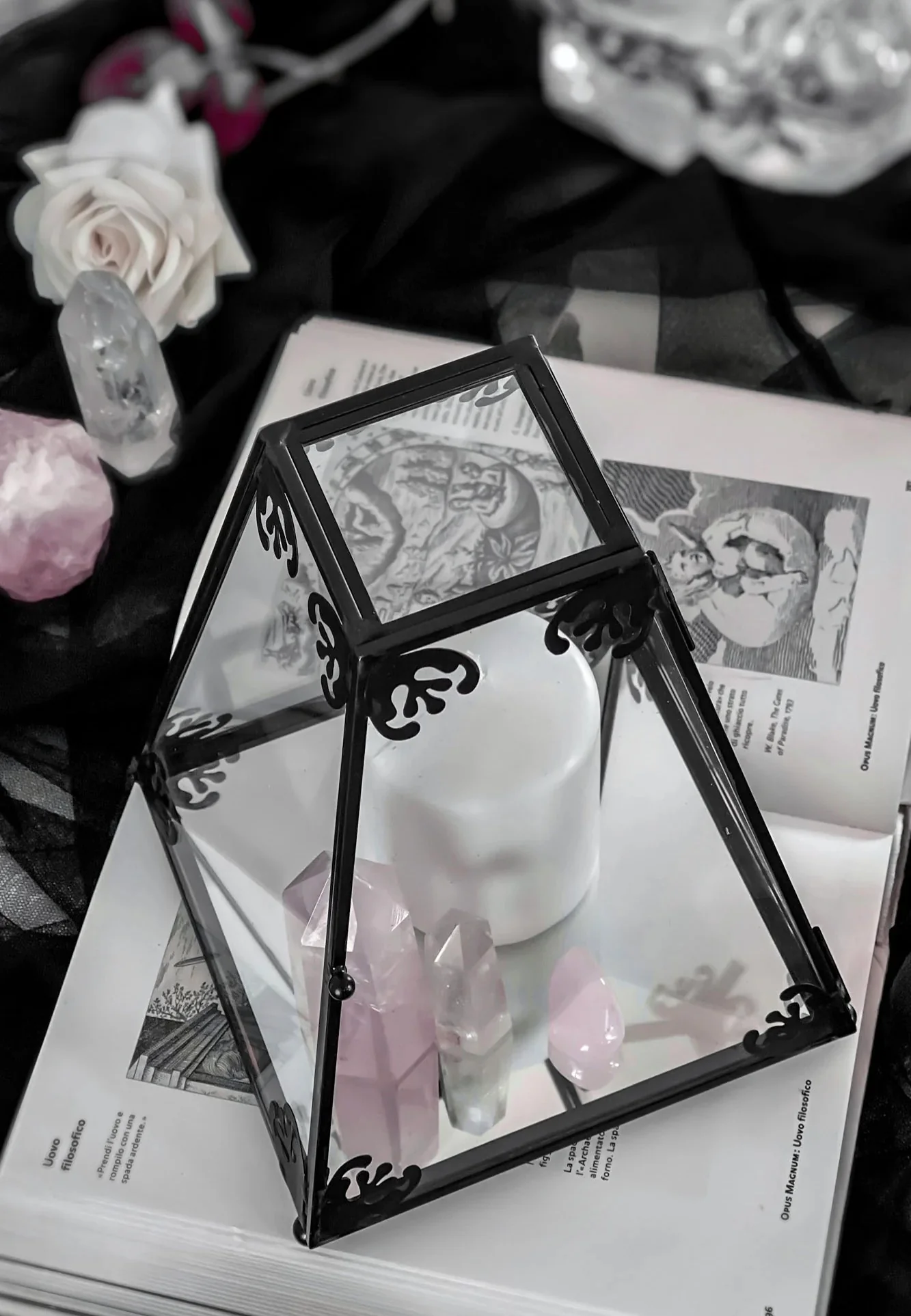 Killstar - Nova Glass Black - Display Case - Image 4