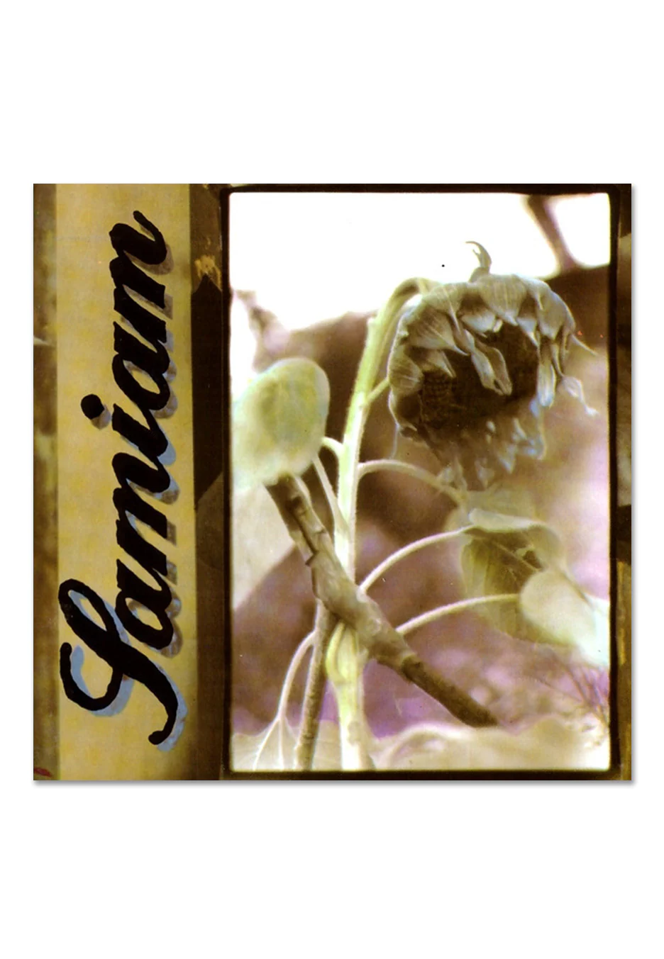 Samiam - Samiam - Vinyl - Image 2