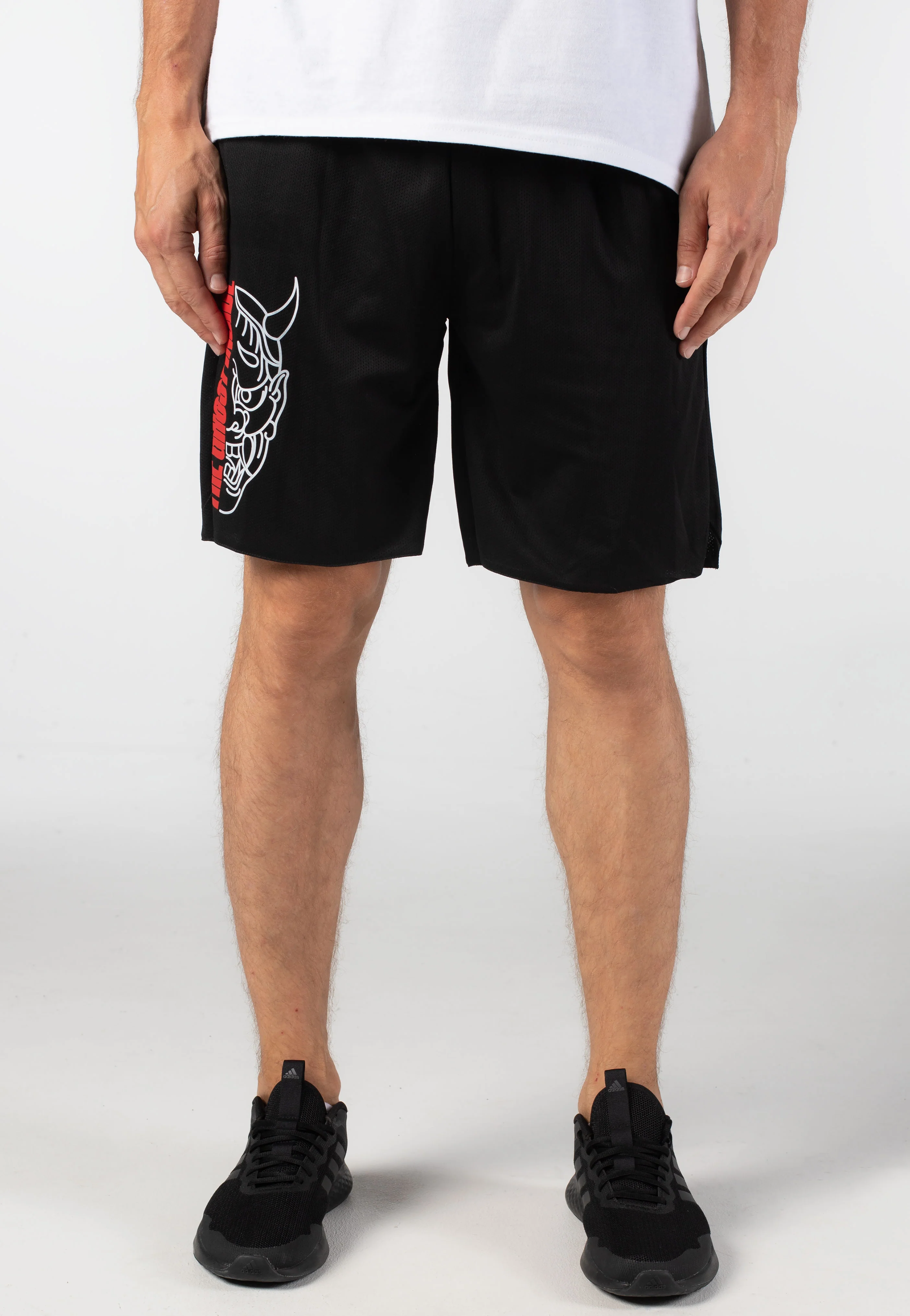 The Ghost Inside - Mask - Shorts