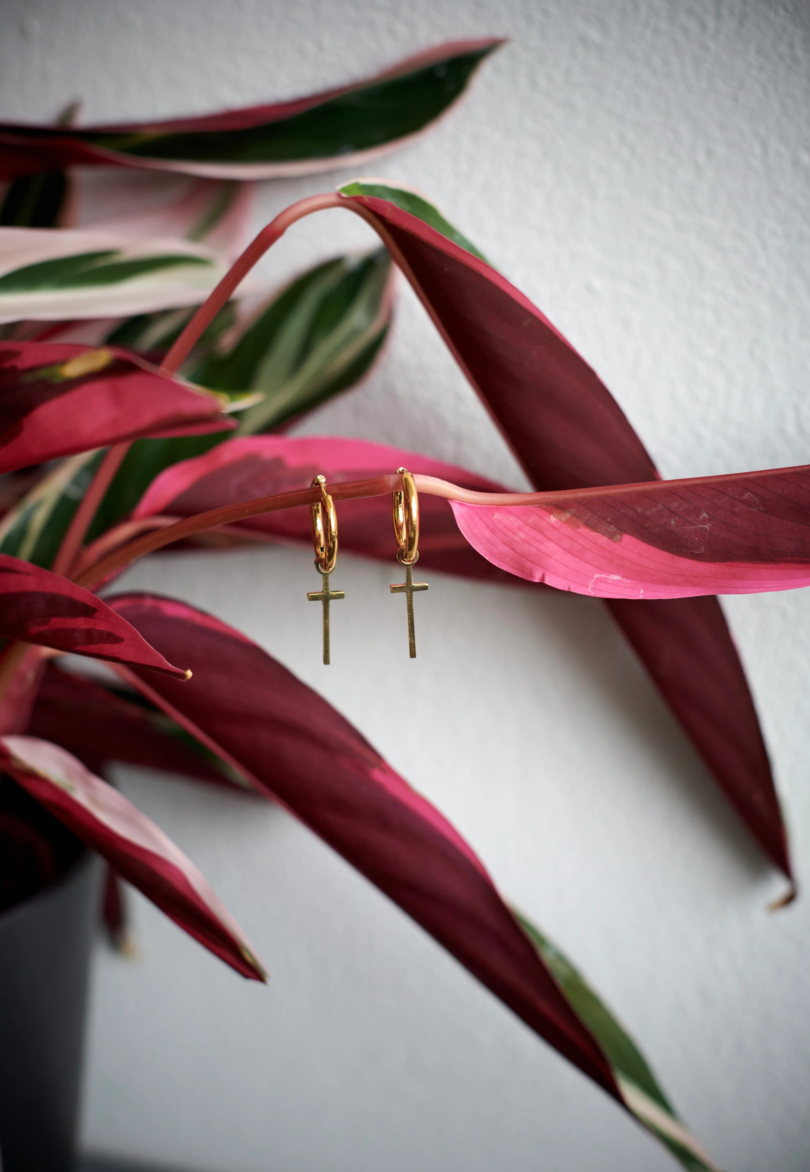 Wildcat - Little Cross Gold - Earrings - Image 5